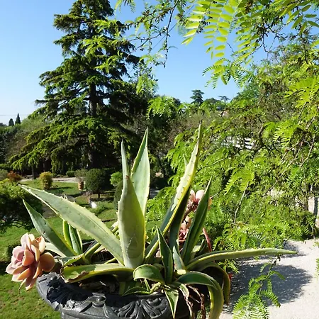 D'hotes - - Des Roses B&B